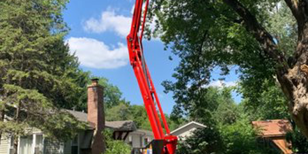 Monster Tree Service Lake County