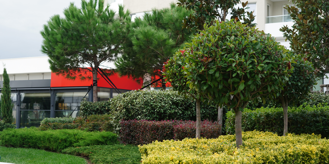 A beautifully landscaped garden featuring layered rows of colorful shrubs, manicured hedges, and small trees in front of a modern residential building.