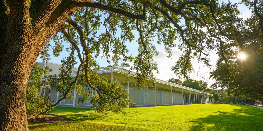 A nice view of The Menils Collection art museum in Houston TX