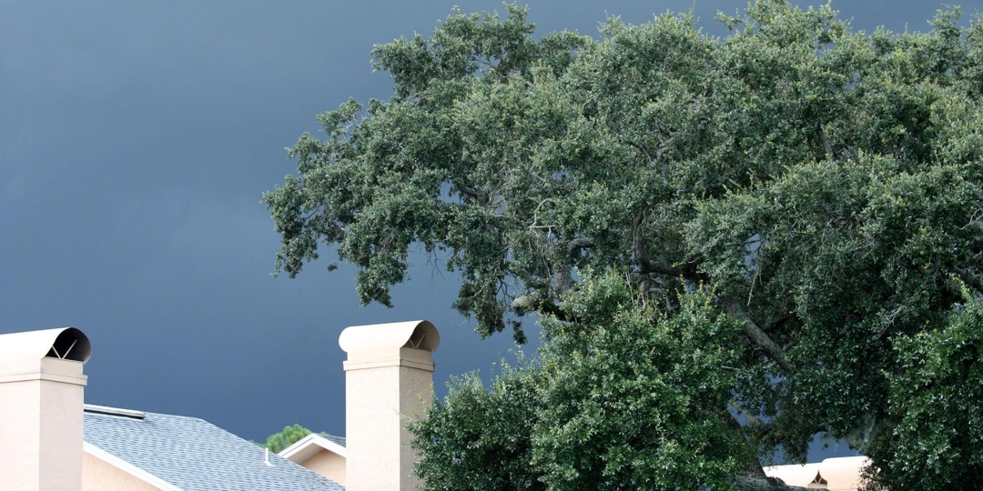 Lush green trees and a brightly lit house roof with beige chimneys, set against a stark, very dark, stormy blue-gray sky.