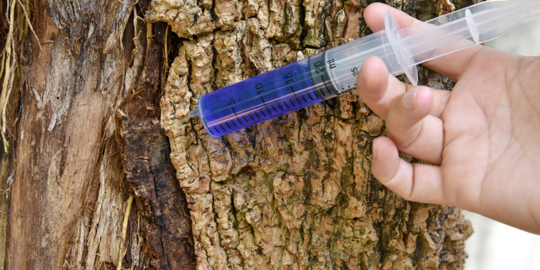 A close-up of a person's hand holding a large syringe filled with blue liquid against the rough bark of a tree trunk.
