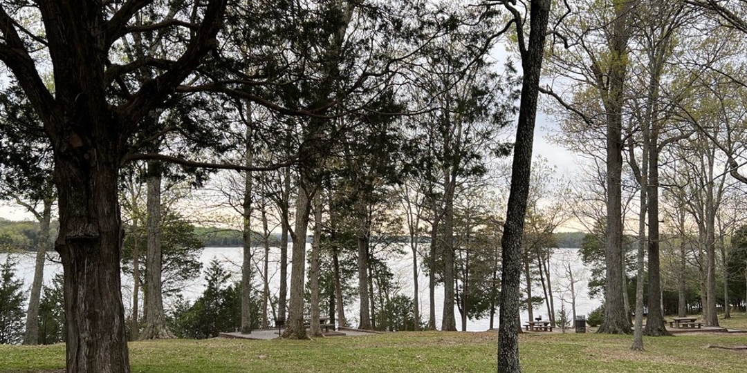 When Can I Start Planting a Tree in Tennessee?