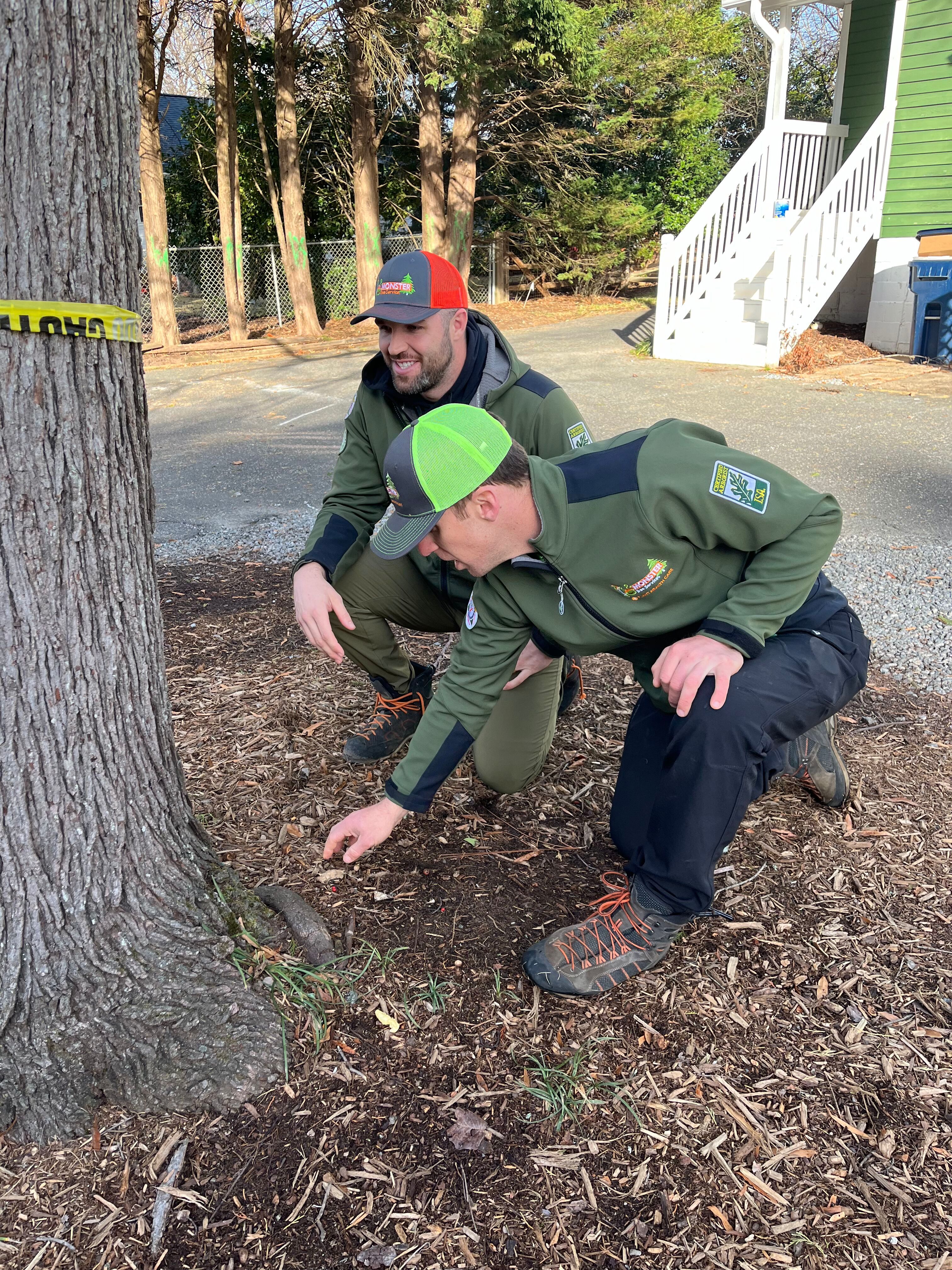 What is TRAQ? Why and how ISA Tree Risk Assessment Qualification makes a difference for ensuring the safety of your home and property.