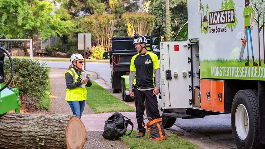 Discover the Beauty of Pennsylvania Native Trees: A Guide for Bucks & Montgomery County Homeowners