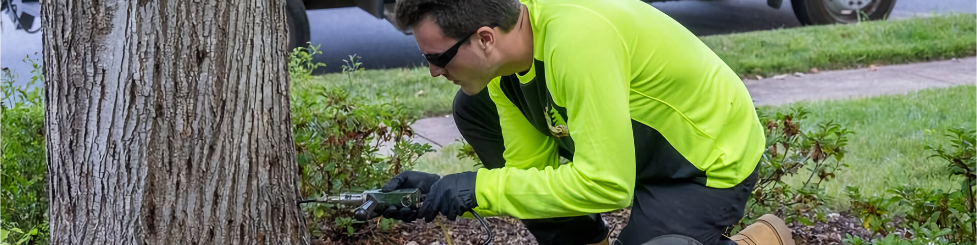 First Impressions Matter: Tree Care Tips for Selling Your Northwest Houston Home